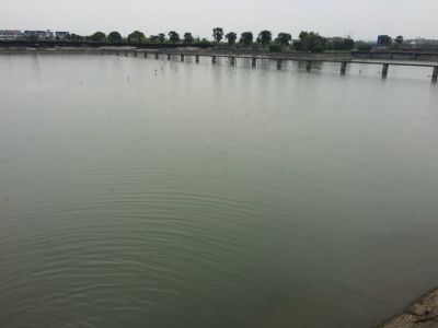 實驗室及基地